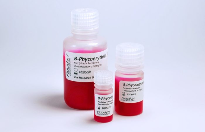Premium b-phycoerythrin ideal for cell staining, imaging applications and flow cytometry